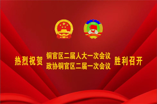 熱烈祝賀公司董事、副總經(jīng)理王從偉被選為 第二屆銅陵市銅官區(qū)政協(xié)常務委員